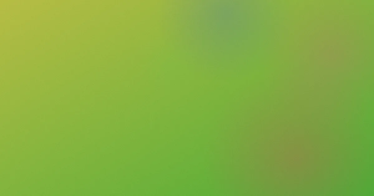 萌琪琪对比：一次实做复盘